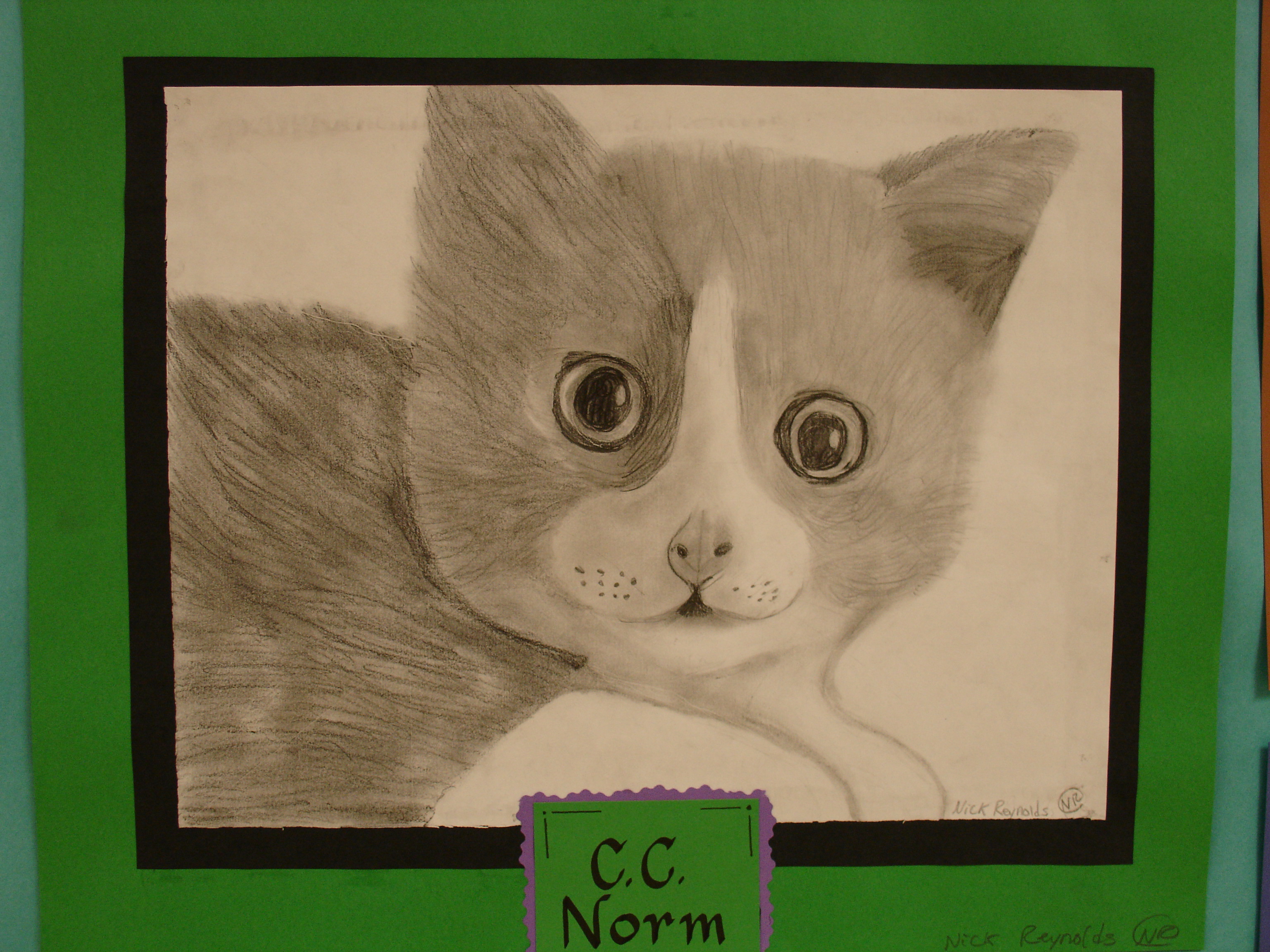 cat