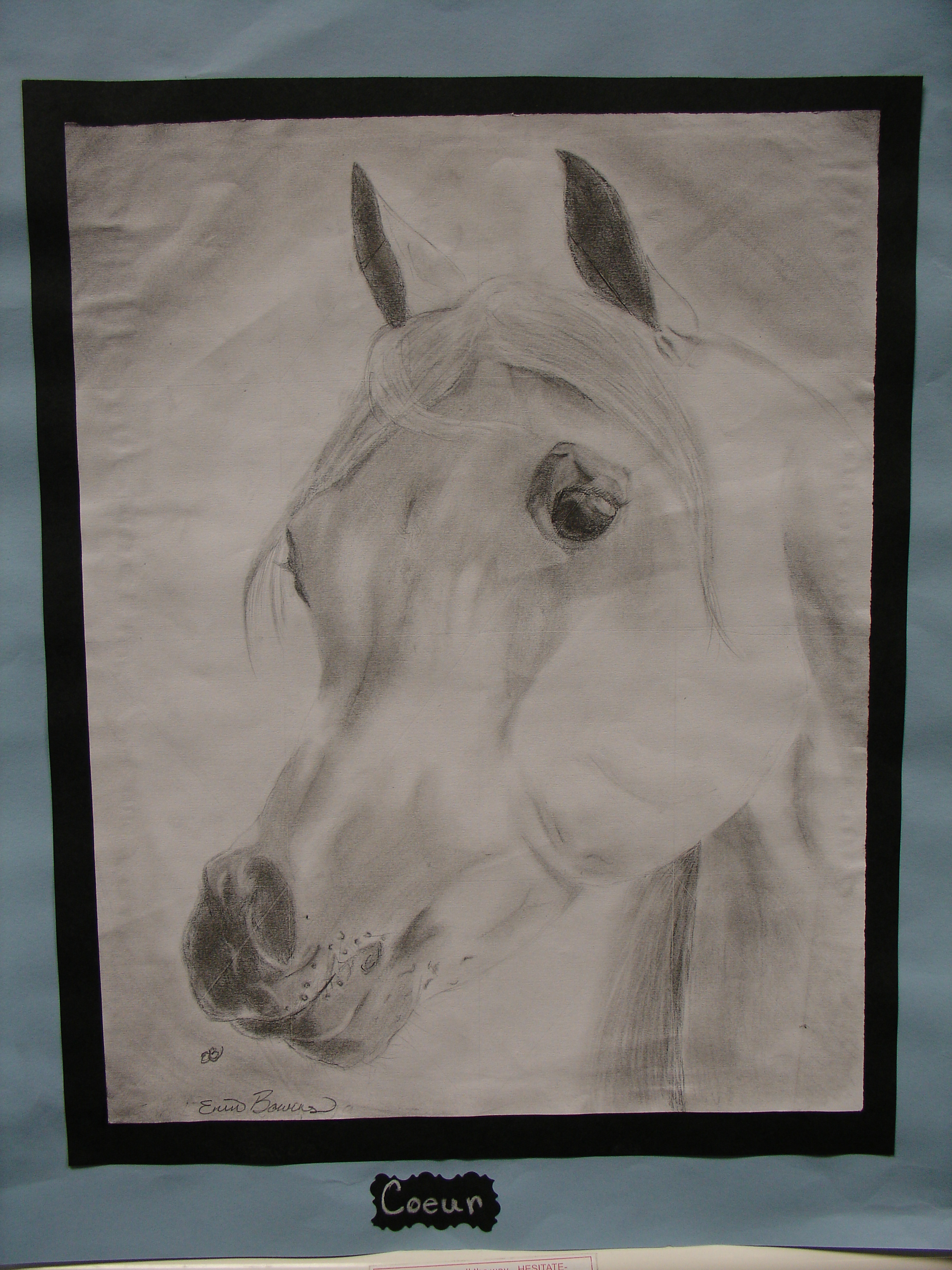 horse