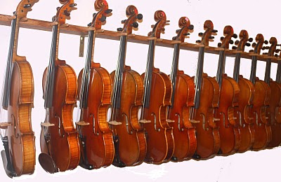 violins in store