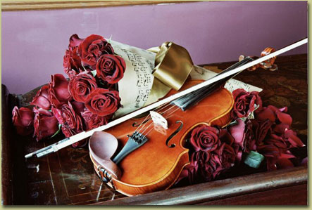 violin and flowers