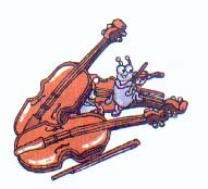 bug with violin